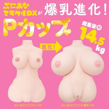 Puni Ana Miracle Bakunyu DX 