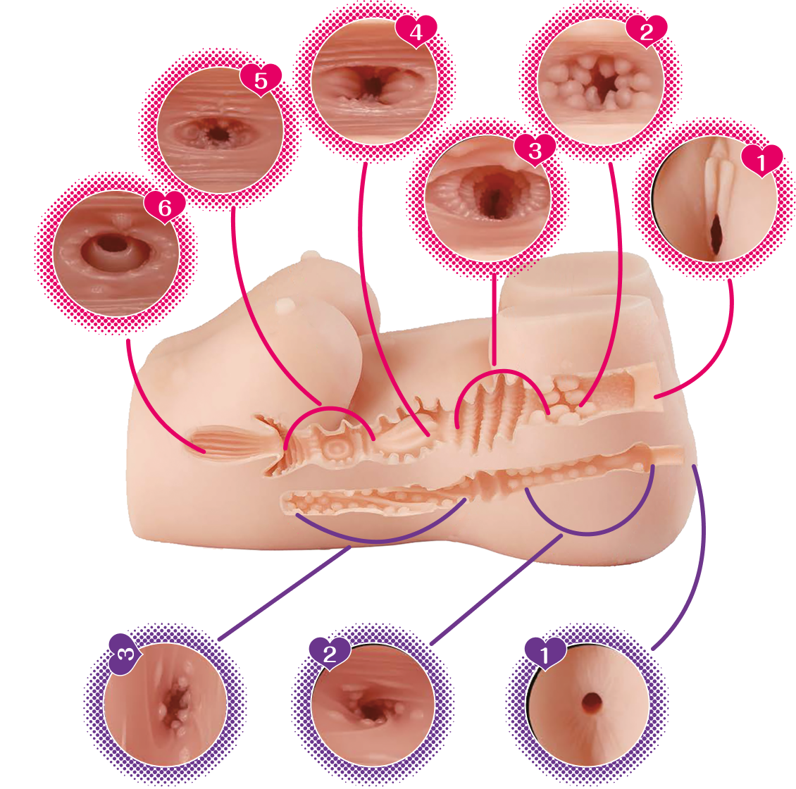 Doorsnede van dubbele tunnels